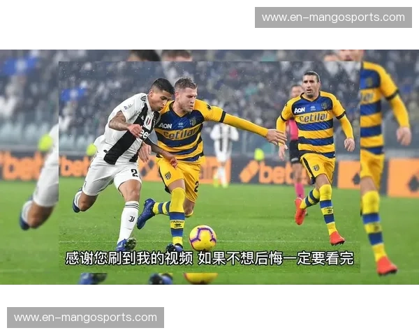 荣耀之战：阿贾克斯与维迪斯的绿茵对决，信仰与激情的碰撞